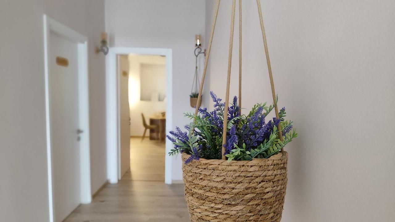Elvish Garden Boutique B&B Berat Luaran gambar